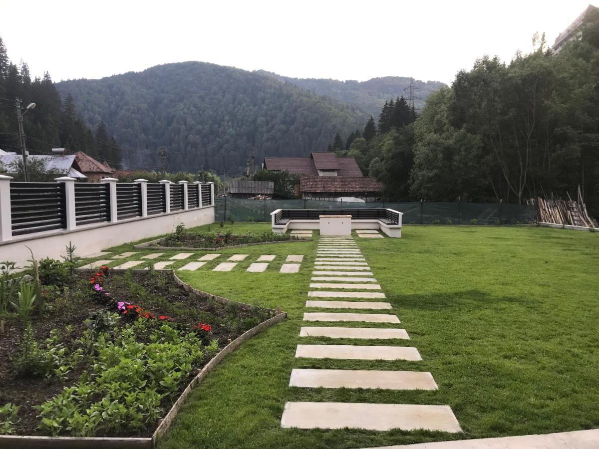 Pensiunea Edelweiss Voineasa Extérieur photo