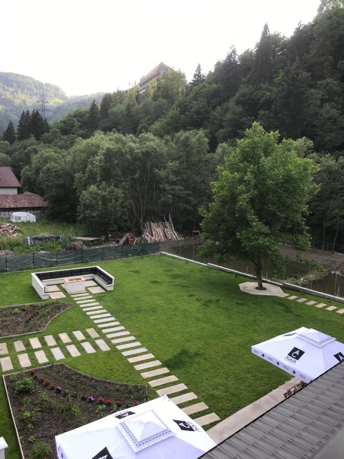 Pensiunea Edelweiss Voineasa Extérieur photo