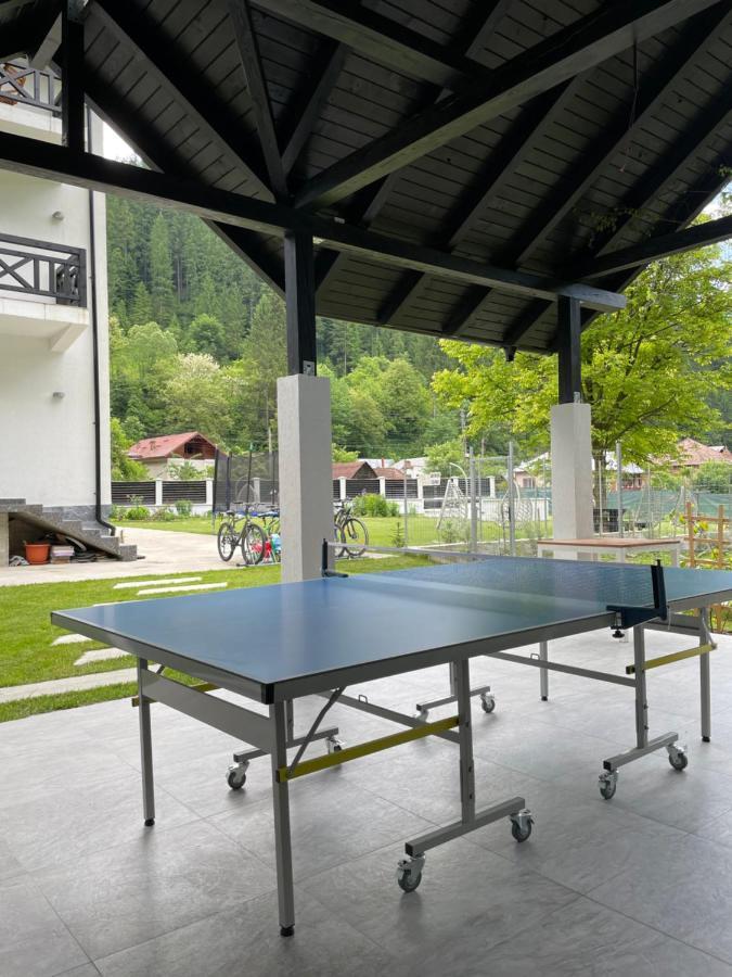 Pensiunea Edelweiss Voineasa Extérieur photo