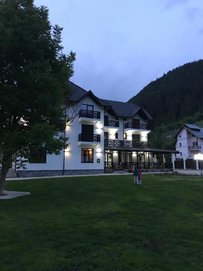 Pensiunea Edelweiss Voineasa Extérieur photo